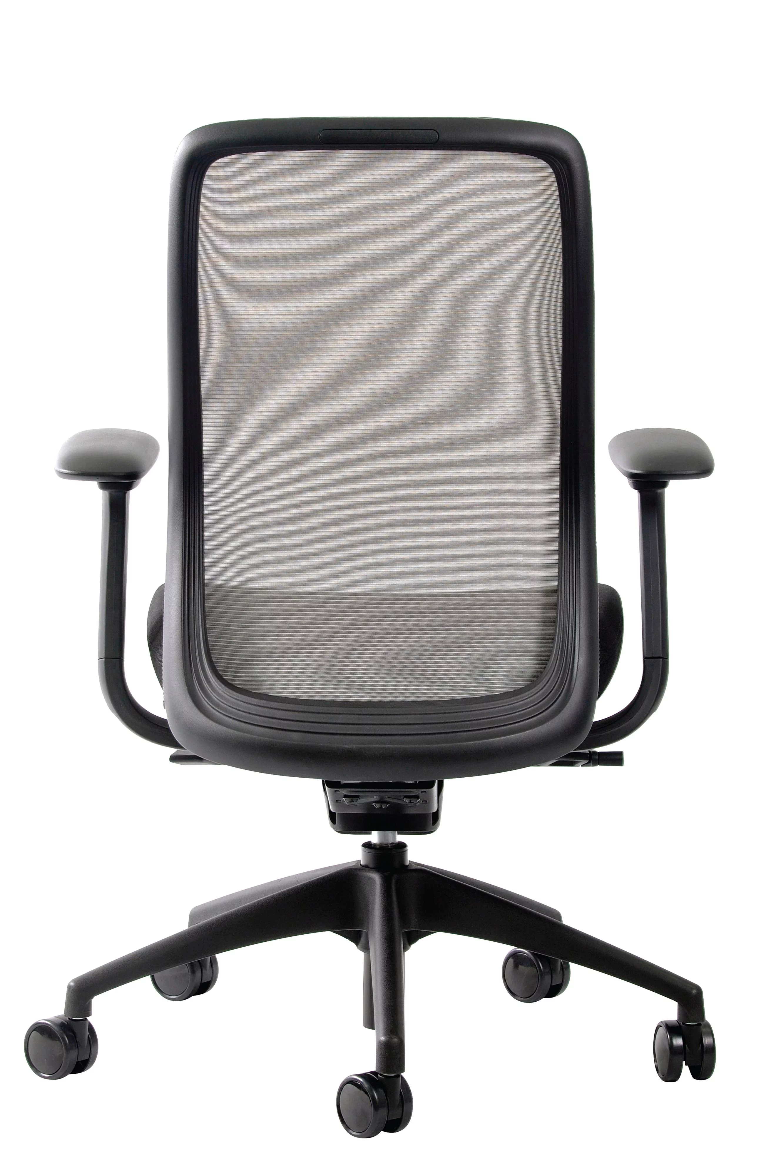 Raynor Vera Mesh Back Executive Chair
