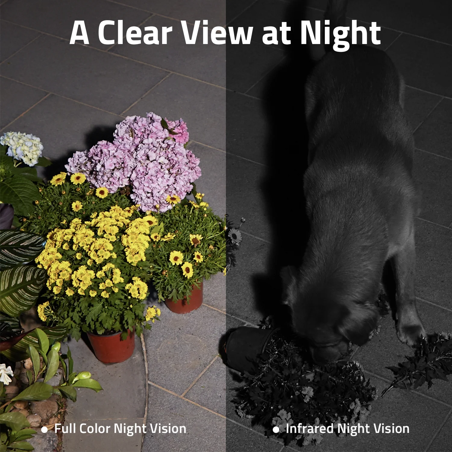 eufy Security SoloCam S230 Wireless 2K Solar Powered Camera w/Spotlight, No Monthly Fee