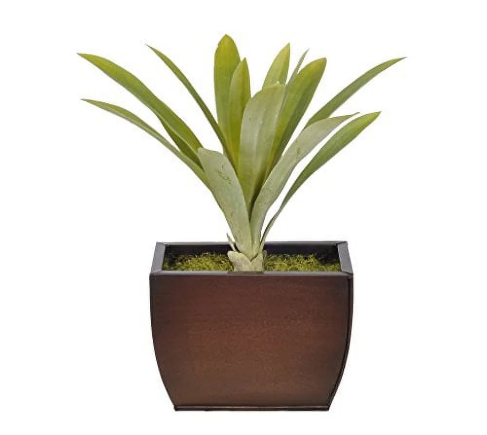 House of Silk Flowers Artificial Yucca Grass in Small Gloss Brown Zinc