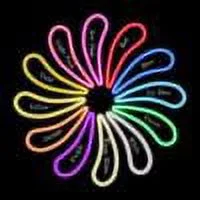 the world is yours-LED Neon Sign Made in USA