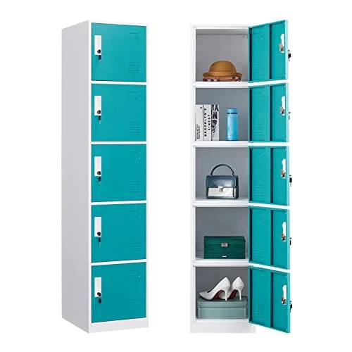 WIILAYOK Locker Storage Cabinet, Metal Lockers for Employees with Keys, 6-Tier Storage Locker for Office School Gym Corridor