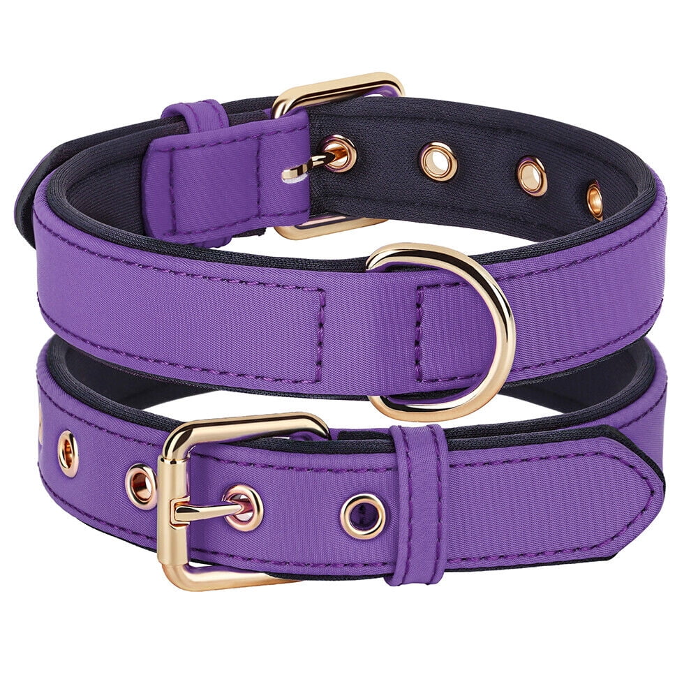 Didog Waterproof Nylon Dog Collar Soft Padded Adjustable Metal Buckle with D-Ring S-L