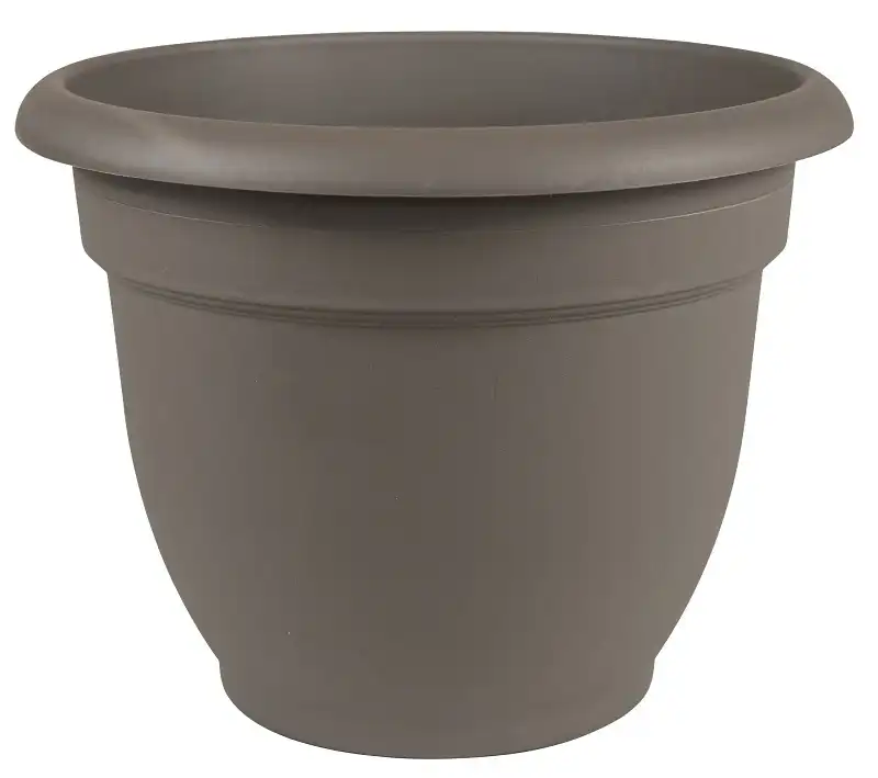 Bloem AP16908 Ariana Self-Watering Planter Round Plastic Peppercorn