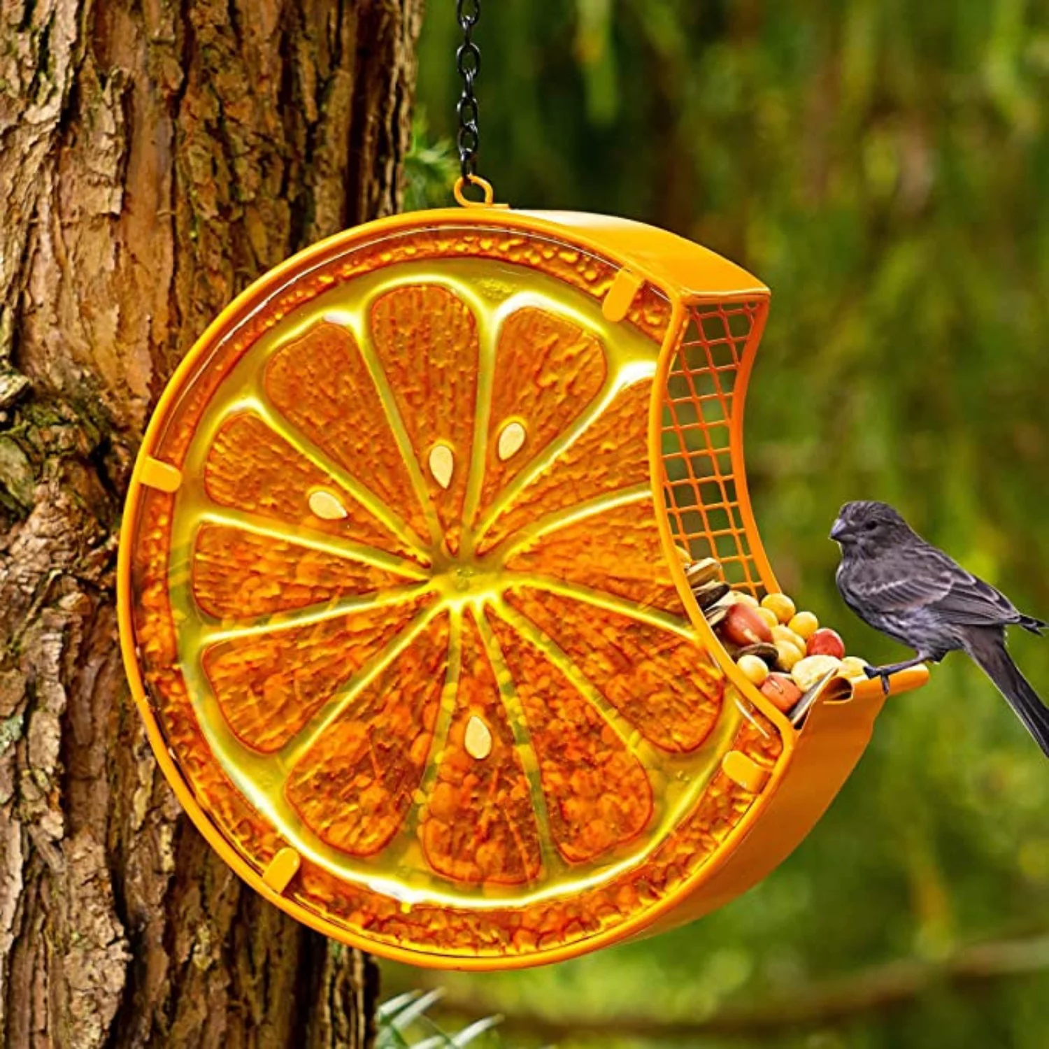 Outdoor Hanging Orange Shape Design Squirrel Proof Wild Bird Feeder 7x2x6.7 inch