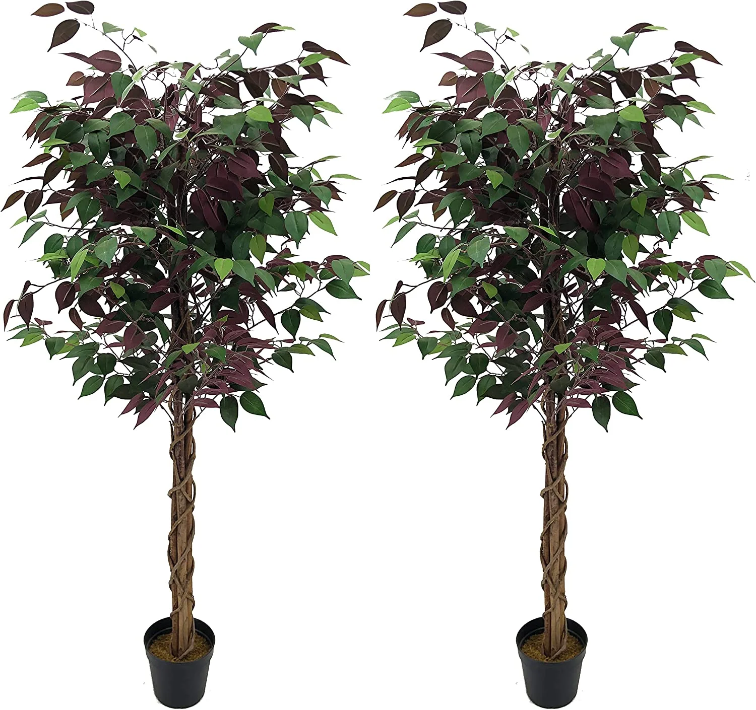 HYUN Pack of 2 Gorgeous 5 Feet Burgundy Ficus Capensia Tree Artificial Silk Plant with Nursery Pots, Super Quality, Green and Burgundy