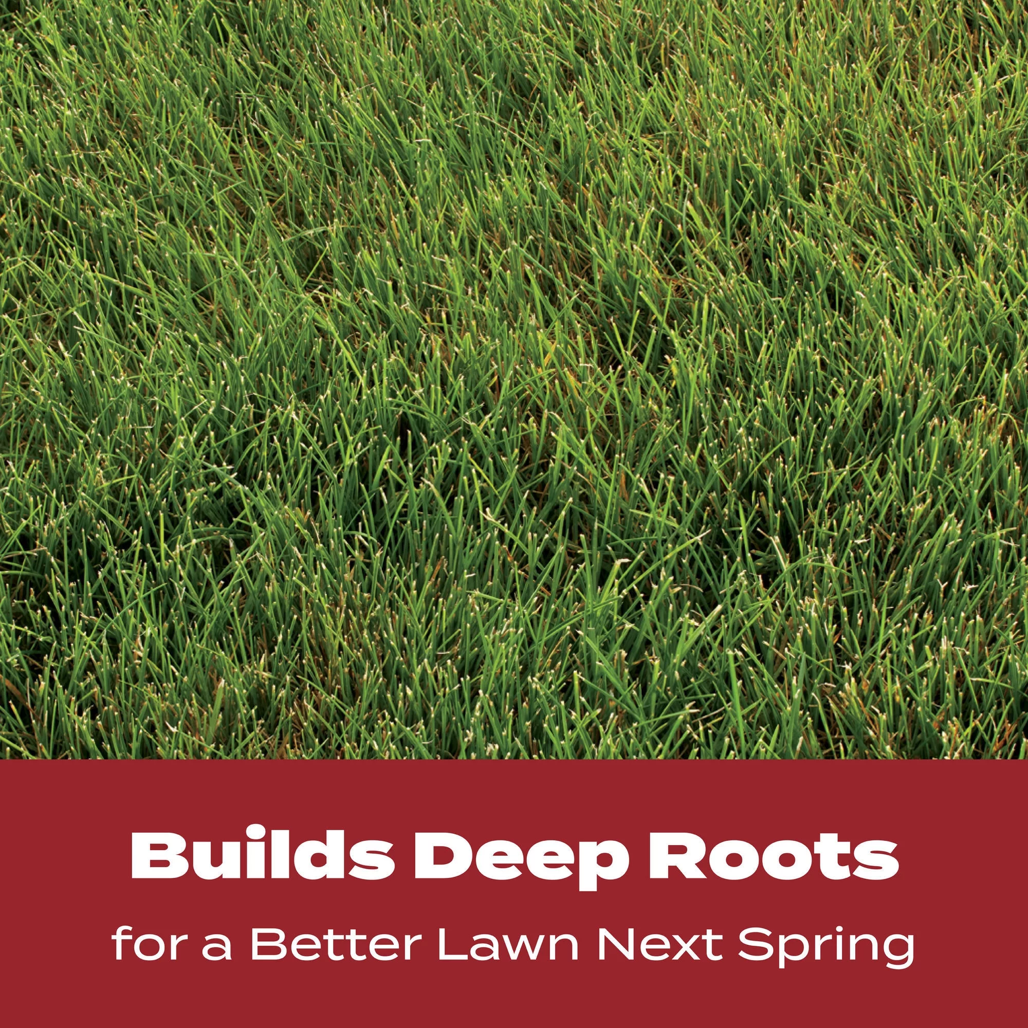 Scotts Turf Builder Fall Lawn FoodFL, 13.33 lb