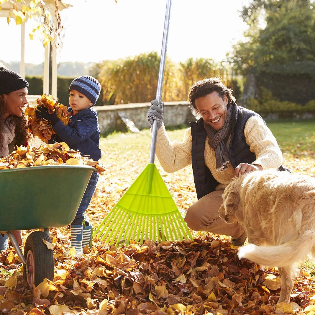 Colwelt Plastic Rakes for Leaves, 72 in, Leaf Rake with Lightweight Stainless Steel Handle to Sweep Leaves in Lawn, Durable Plastic Green Head 22 Tines & 15 Tines