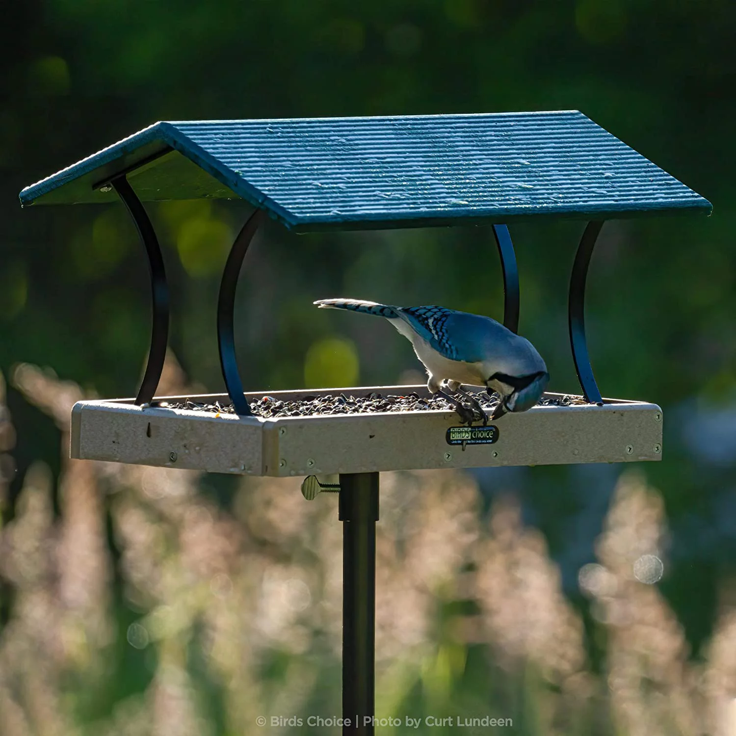 Birds Choice Bluebird House Pole