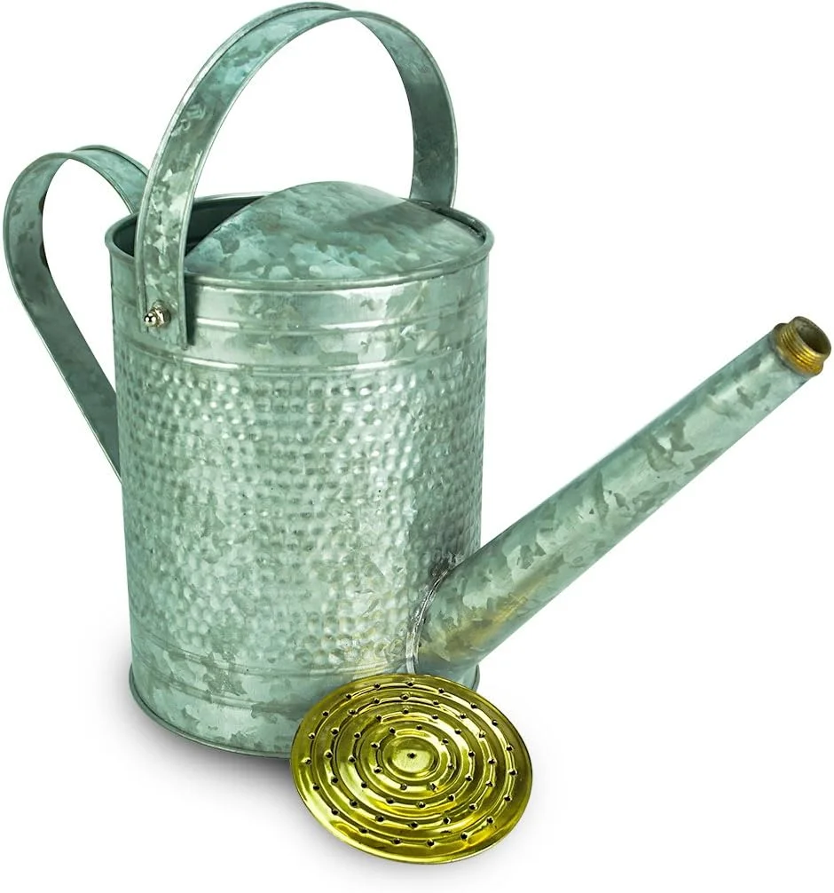 Home & Garden MPT01191 Jameson Metal Watering Can, 1 Gallon, Galvanized