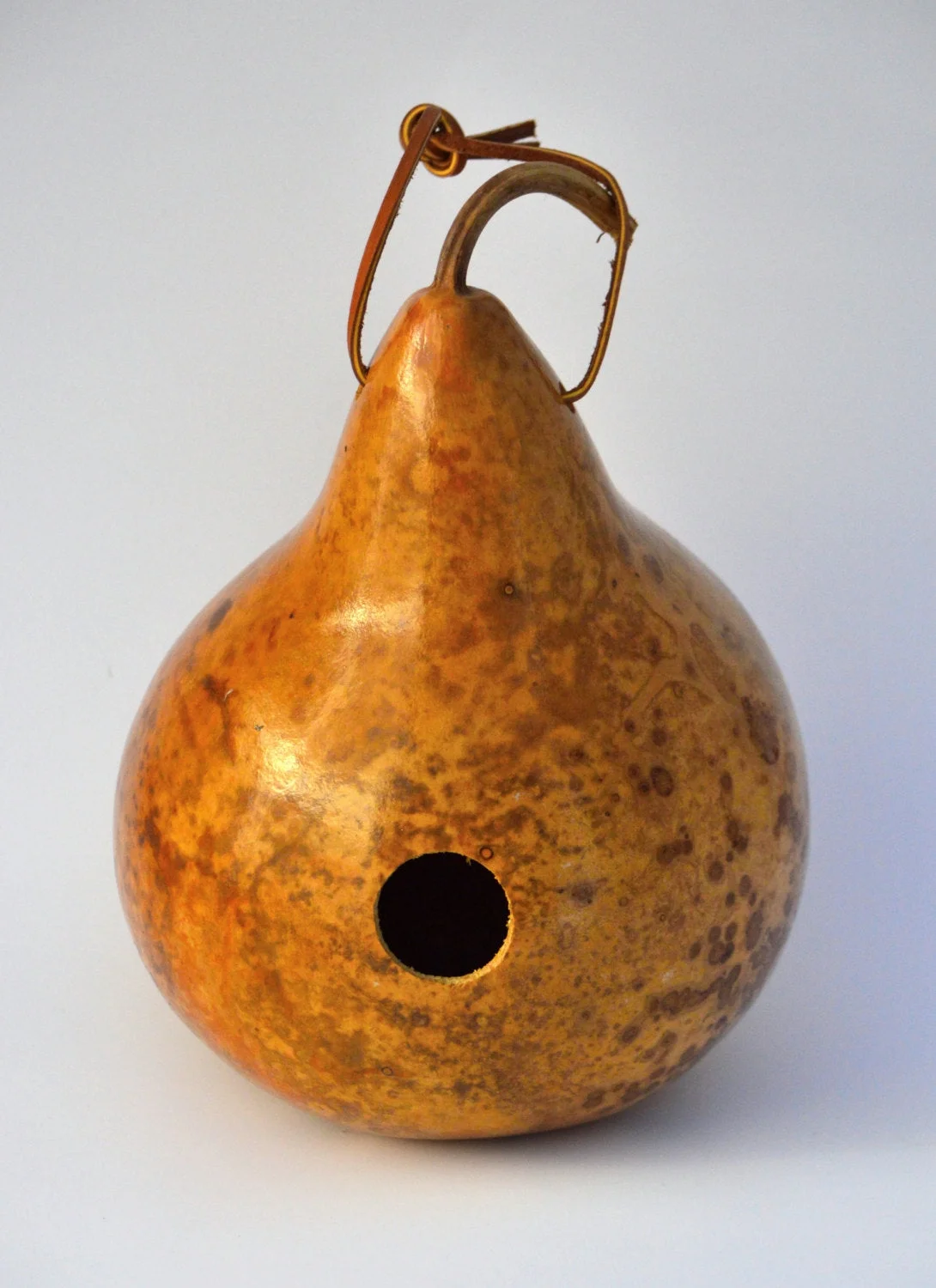 Gourd Birdhouse - Natural Finish - Perfect for a Bird's Nest!