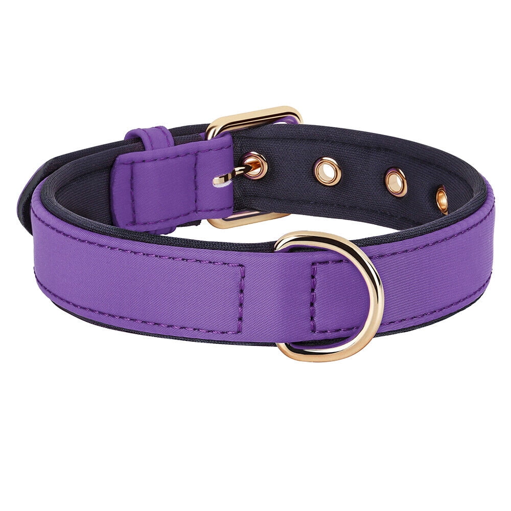 Didog Waterproof Nylon Dog Collar Soft Padded Adjustable Metal Buckle with D-Ring S-L