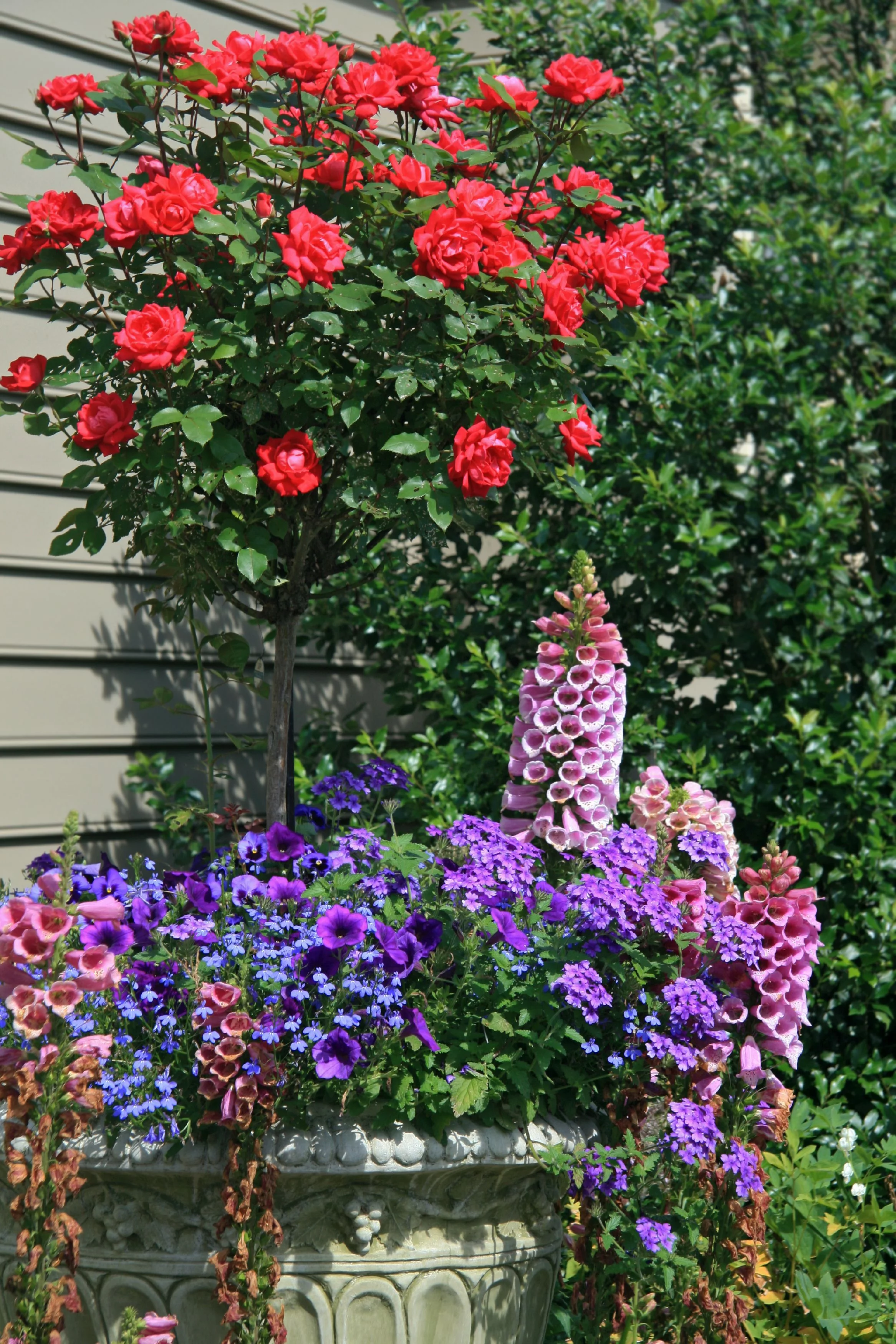 Knock Out 3.25 gal Rose Double Red Patio Trees Live Trees