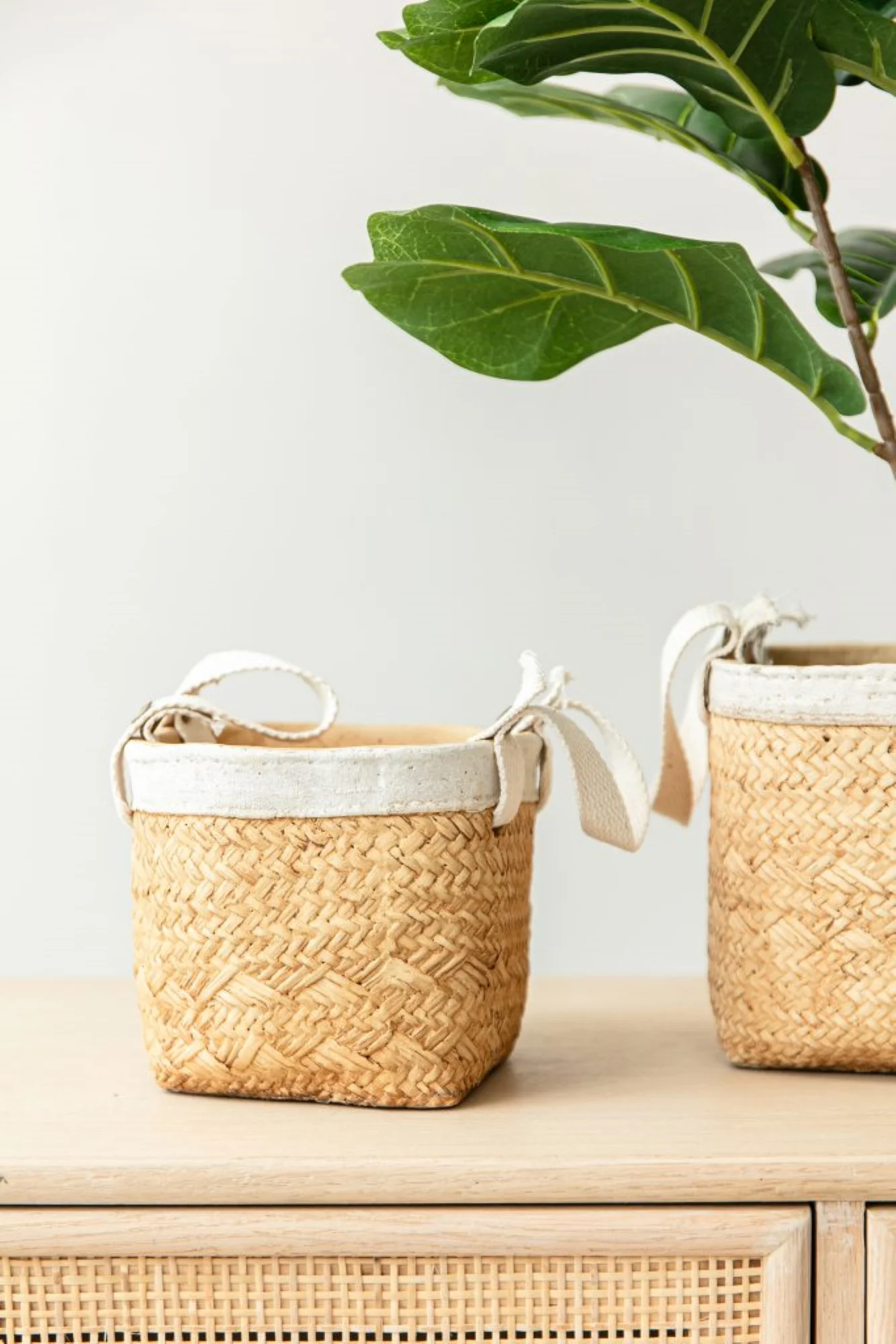 CC Home Furnishings Woven Basket Cement Planters with Cotton Handles - 8.5