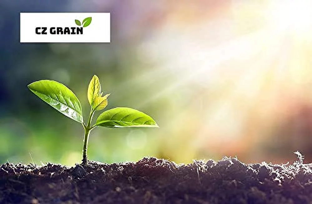 Mixed Color Peony Roots for Planting - Grow Beautiful Perennial Peony Flowers (5 Peony Plants)