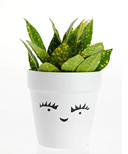 Terra Cotta Ceramic Collection | Indoor and Outdoor Planter (White w/Faces - Set of 2)