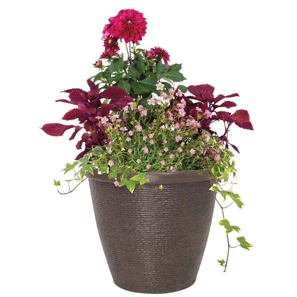 Suncast Cariton 16 in Dia Brown Resin Planter (2-Pack)