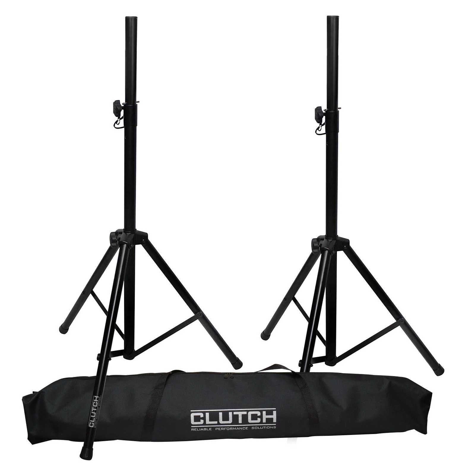 (2) Alto Professional TX310 10