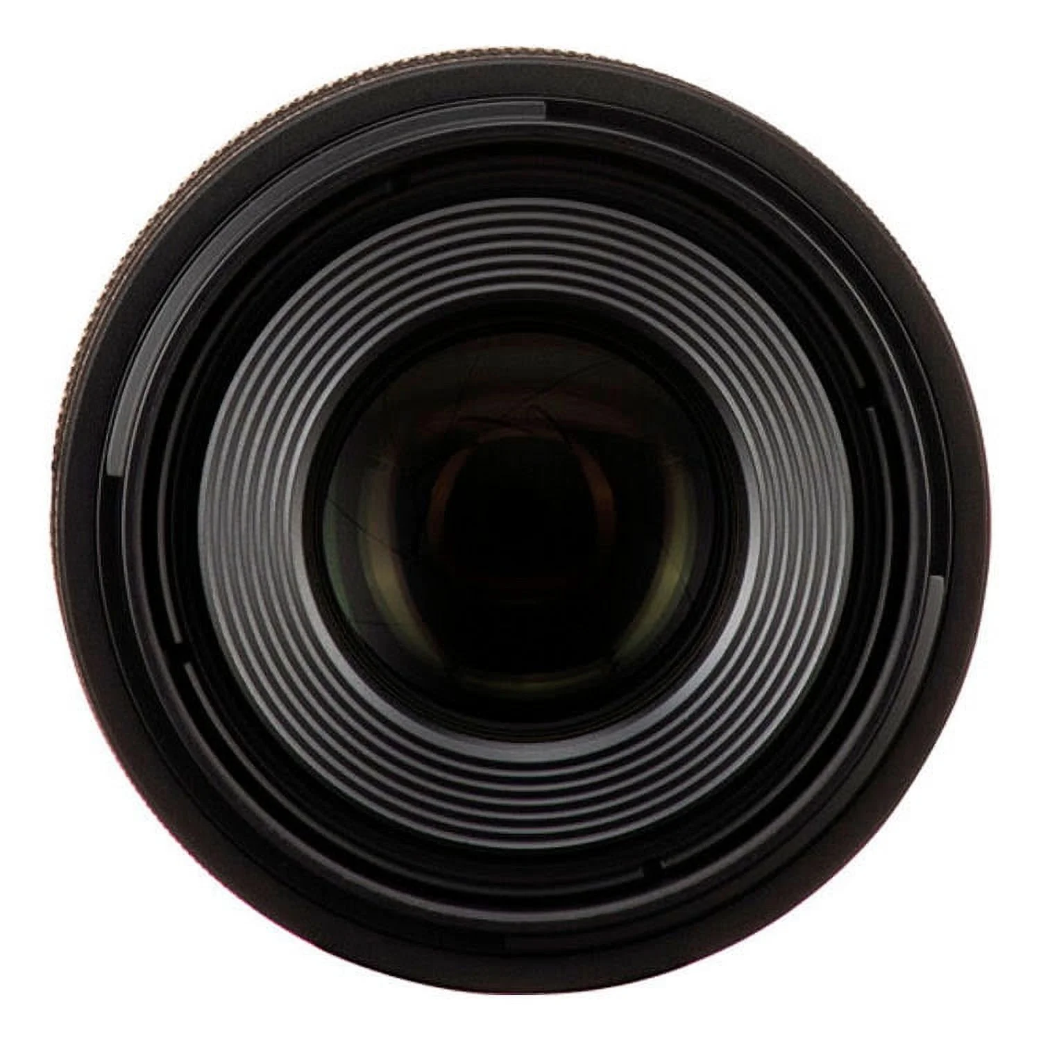 Canon RF 100mm f/2.8 L Macro IS USM Lens + Hood