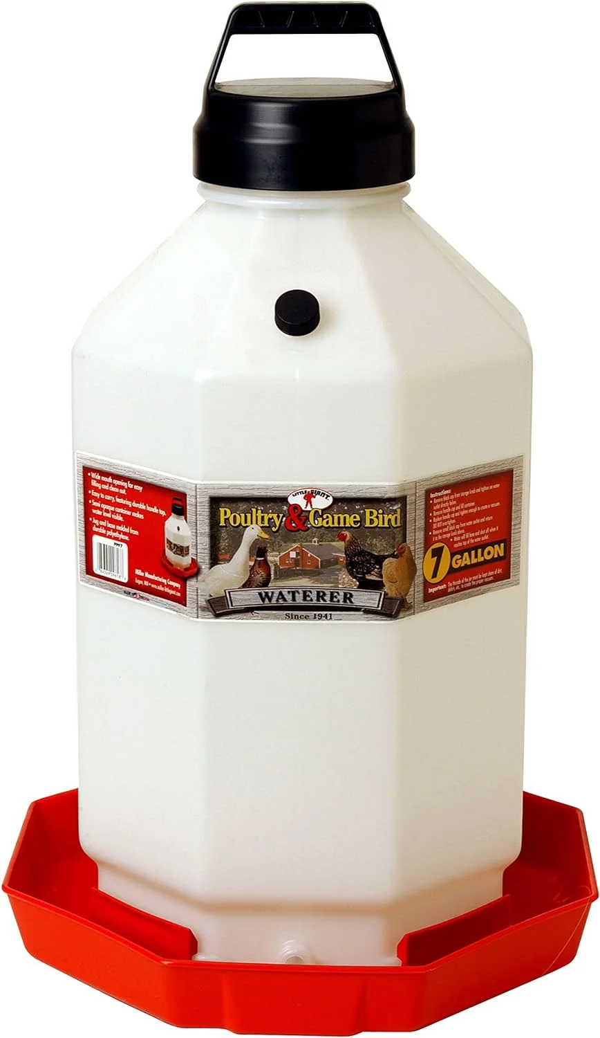 Little Giant 7 Gallon Poultry Waterer Fount - The Best
