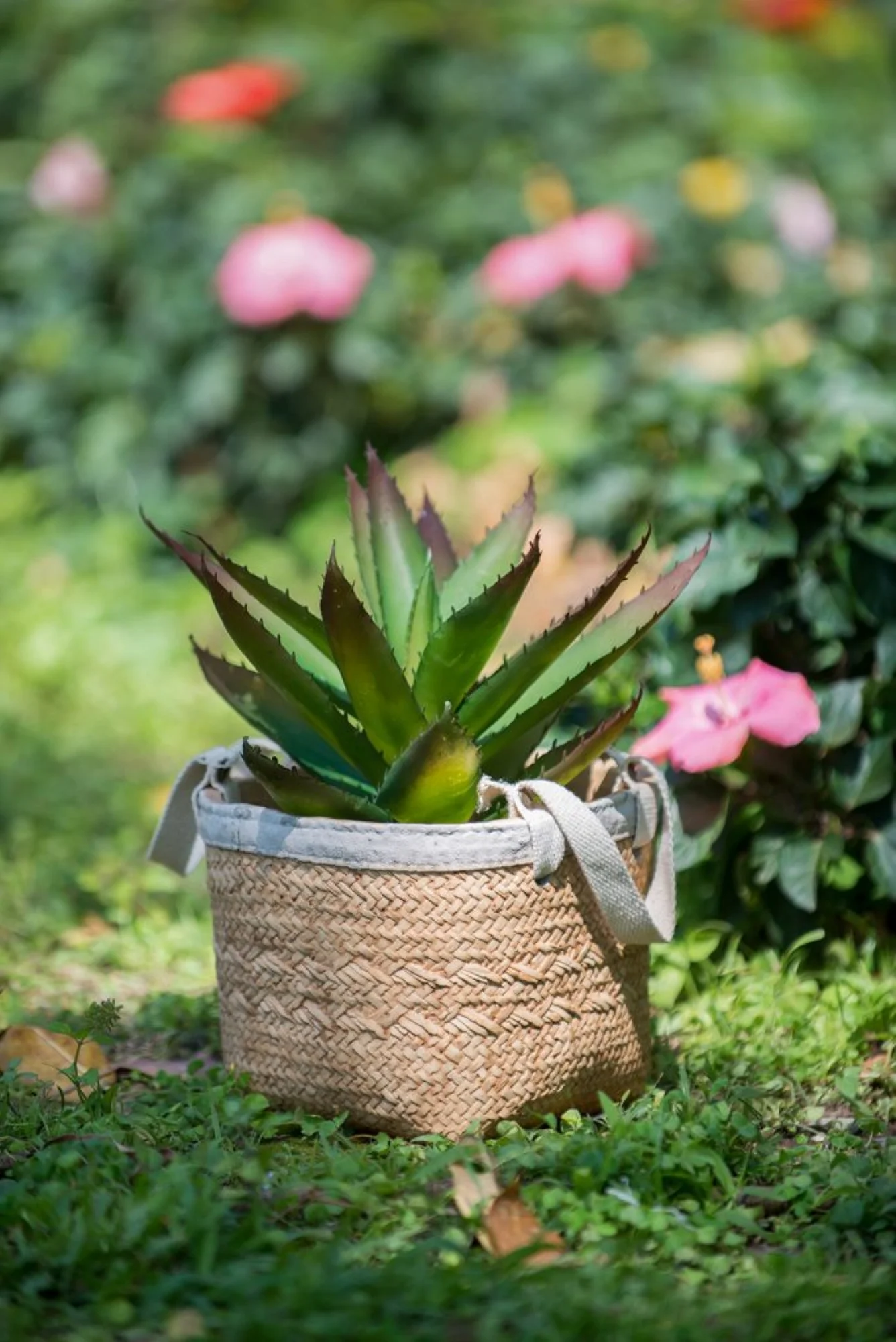 CC Home Furnishings Woven Basket Cement Planters with Cotton Handles - 8.5