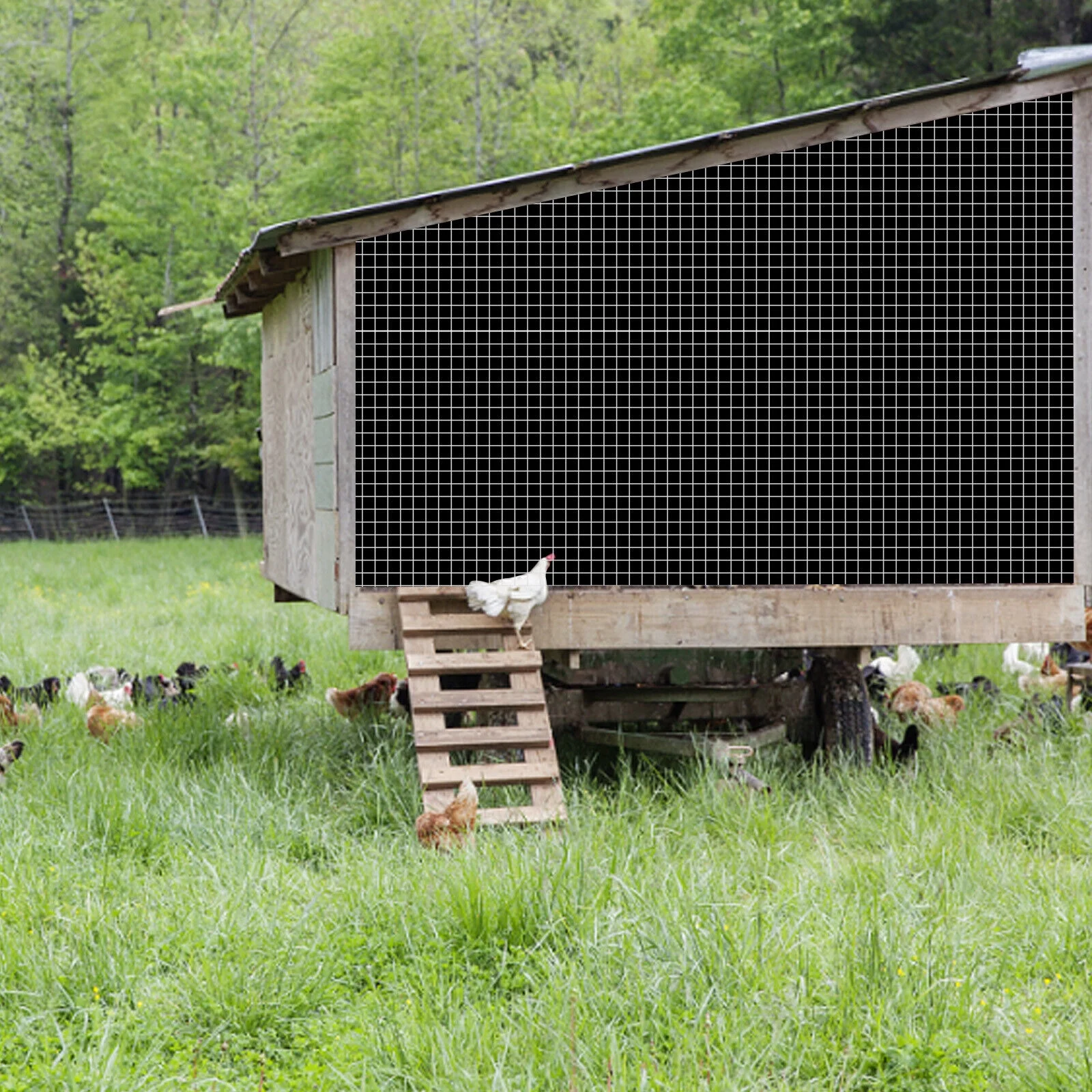 Miumaeov 36in x 100ft Hardware Cloth Chicken Wire Fence Mesh Roll Galvanized Welded Cage 1/4