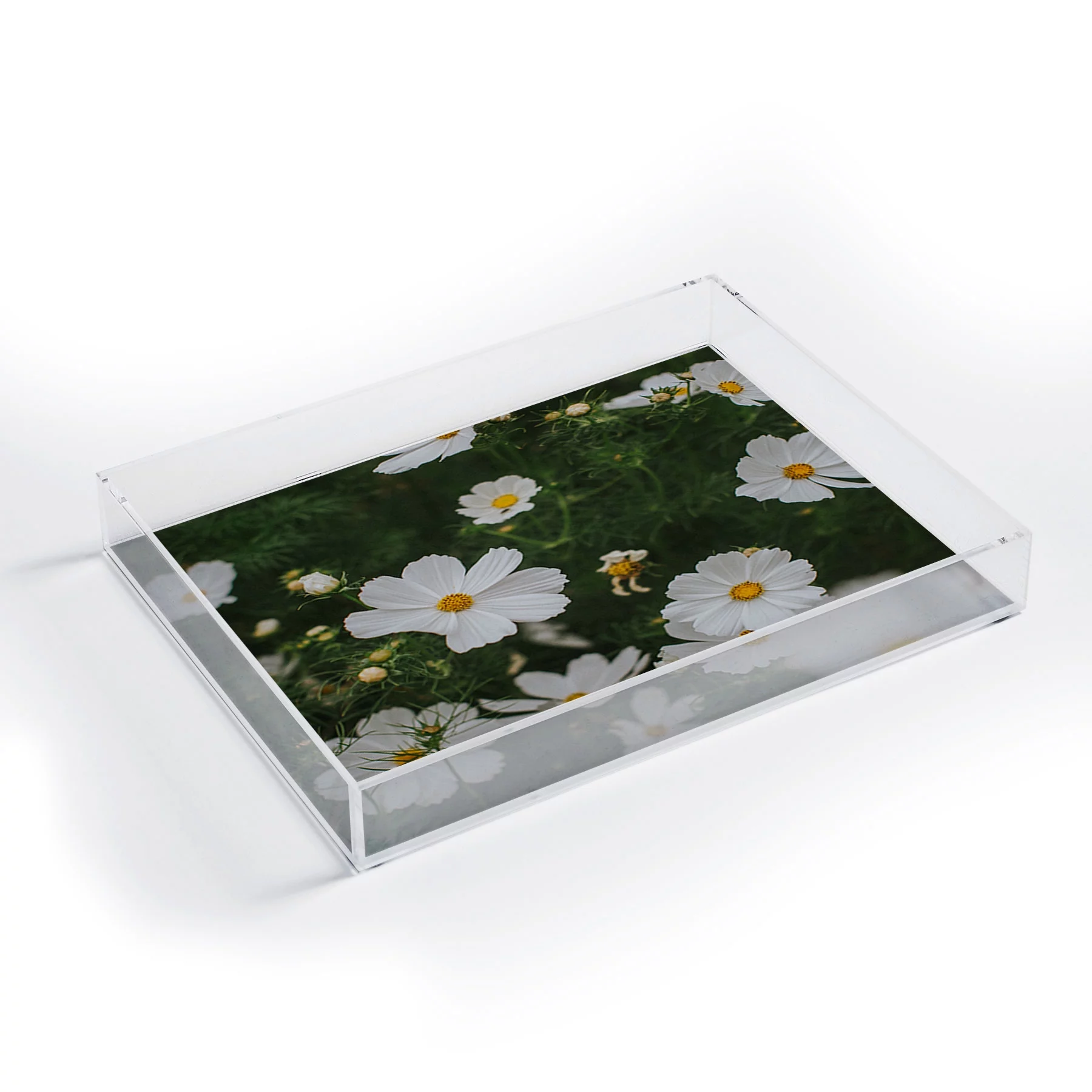 Society6 White Cosmos by Hello Twiggs Acrylic Tray
