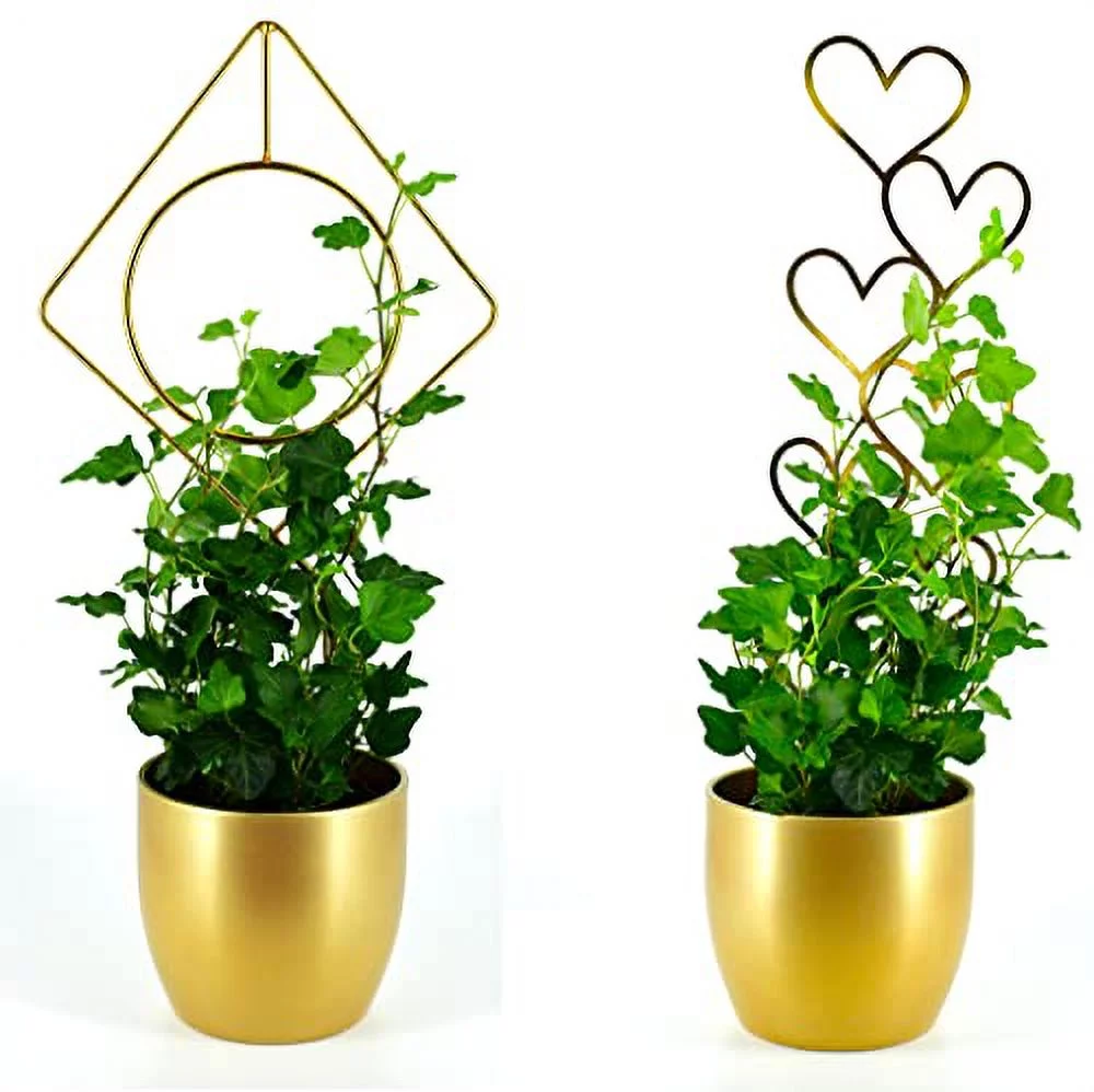 Chunhong Quality Steel Trellis for Climbing Potted Indoor Plants. Sturdy & Strong Vine Plant Support Stakes, Great Home Decor. Gift for Family & Friends. Set of 2