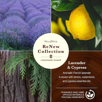 WoodWick® ReNew Large Candle, Lavender & Cypress, 13 oz.