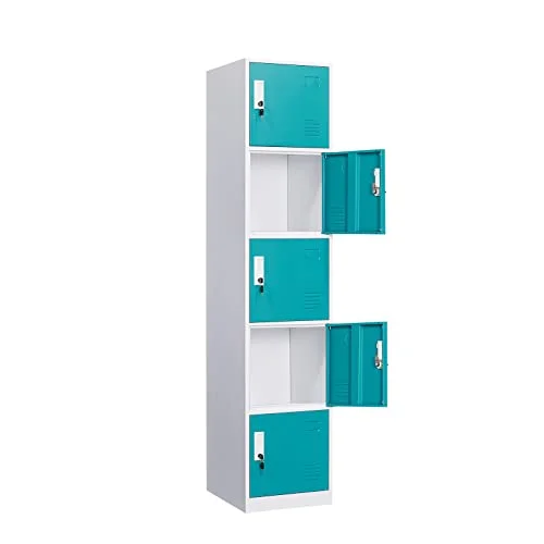 WIILAYOK Locker Storage Cabinet, Metal Lockers for Employees with Keys, 6-Tier Storage Locker for Office School Gym Corridor
