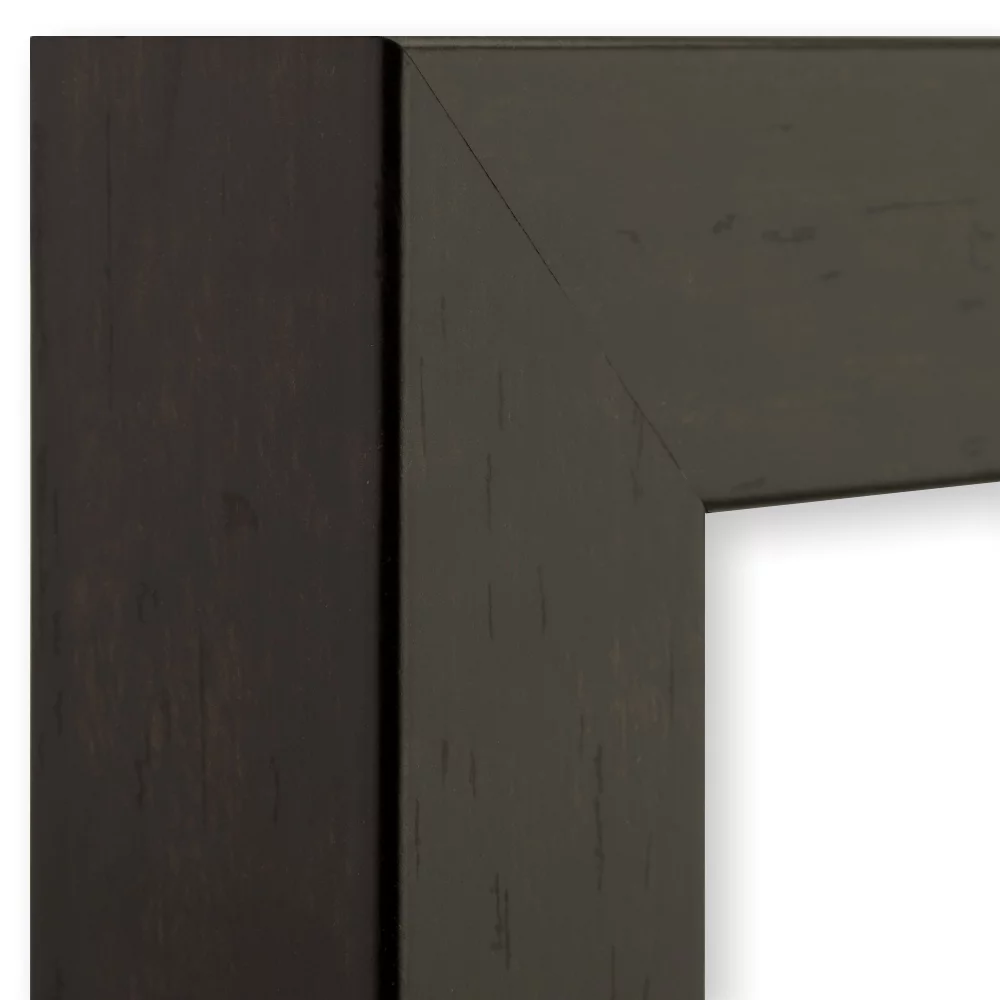 Craig Frames Fiftynine, 17x22 inch Picture Frame, Espresso Walnut Dark Brown