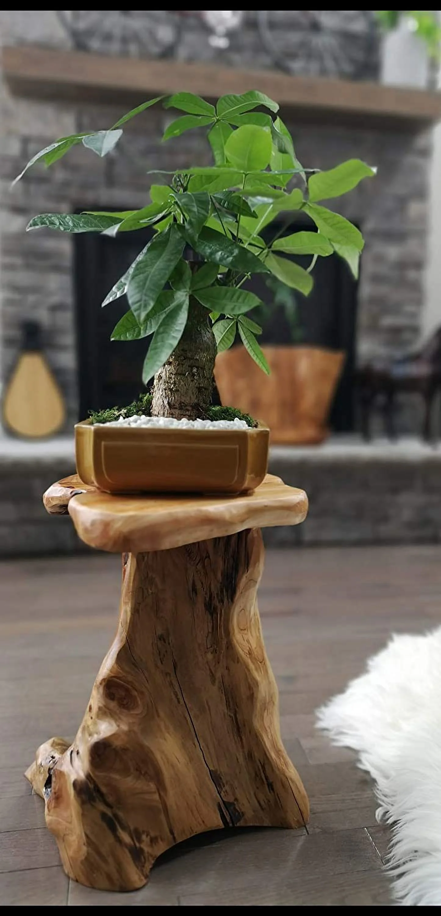 TQNJYGX Cedar Wood Potted Plant Stand Garden Pots Containers Vase Fishbowl Wooden Stand Tall H20.5