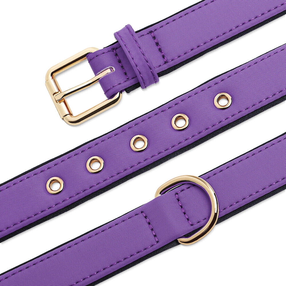 Didog Waterproof Nylon Dog Collar Soft Padded Adjustable Metal Buckle with D-Ring S-L