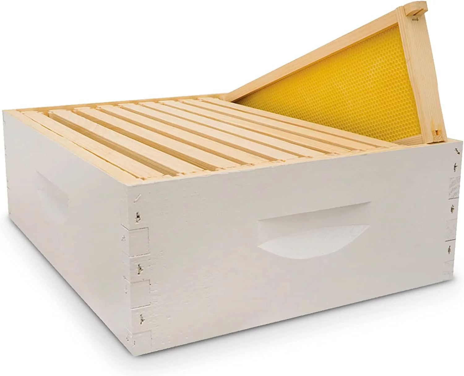 QINBI Hive Body Bundle, Assembled, 10-Frame, Painted, Beekeeping, Bee Box, Beekeeping Supplies, Harvest Honey, Includes 10 Assembled Frames w/Plastic Coated Foundation