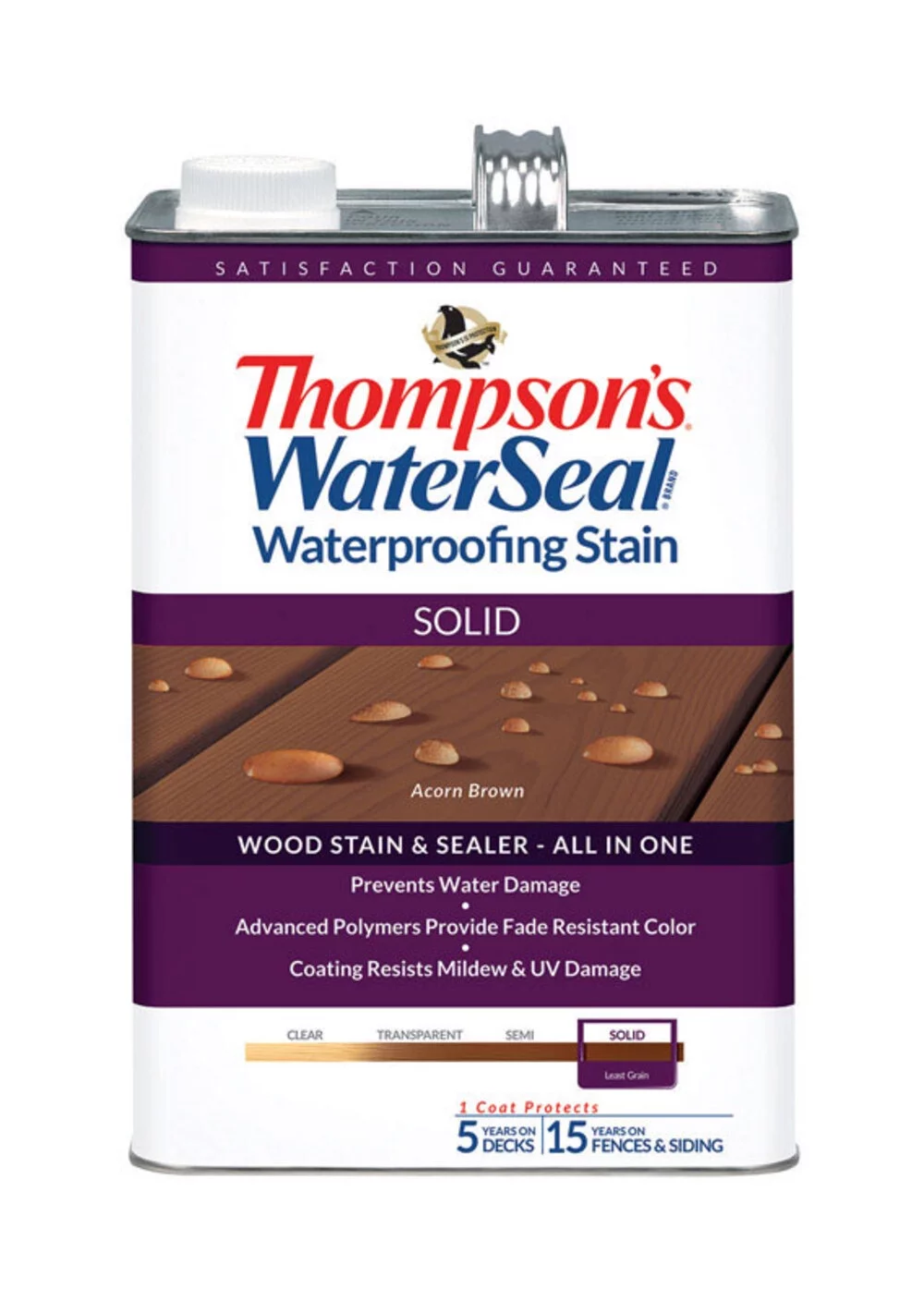 Thompson's WaterSeal Wood Sealer Solid Chestnut Brown Waterproofing Wood Stain and Sealer 1 gal