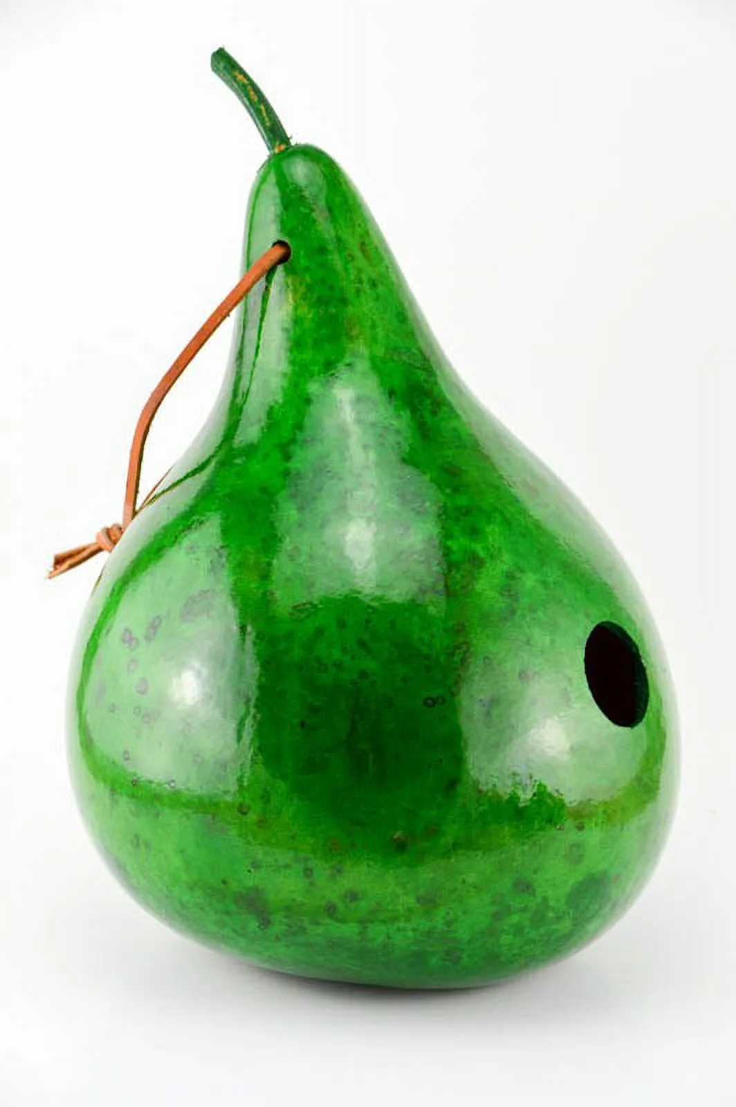 Birdhouse Gourd -  Green - Handmade