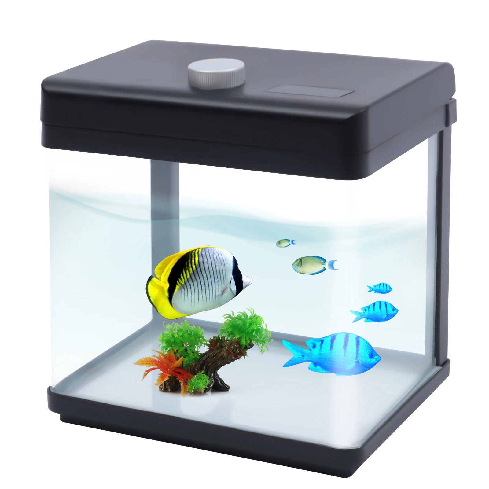 LED Starter Aquarium Kit 2.5 Gallons, Small Fish Tank with Filter and 7 Color-Changing Light, Fish, Jellyfish Tank Kit Office & Home Decor (Black)