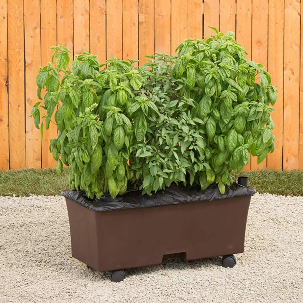 80153 Garden Kit Planter, Organic, Chocolate