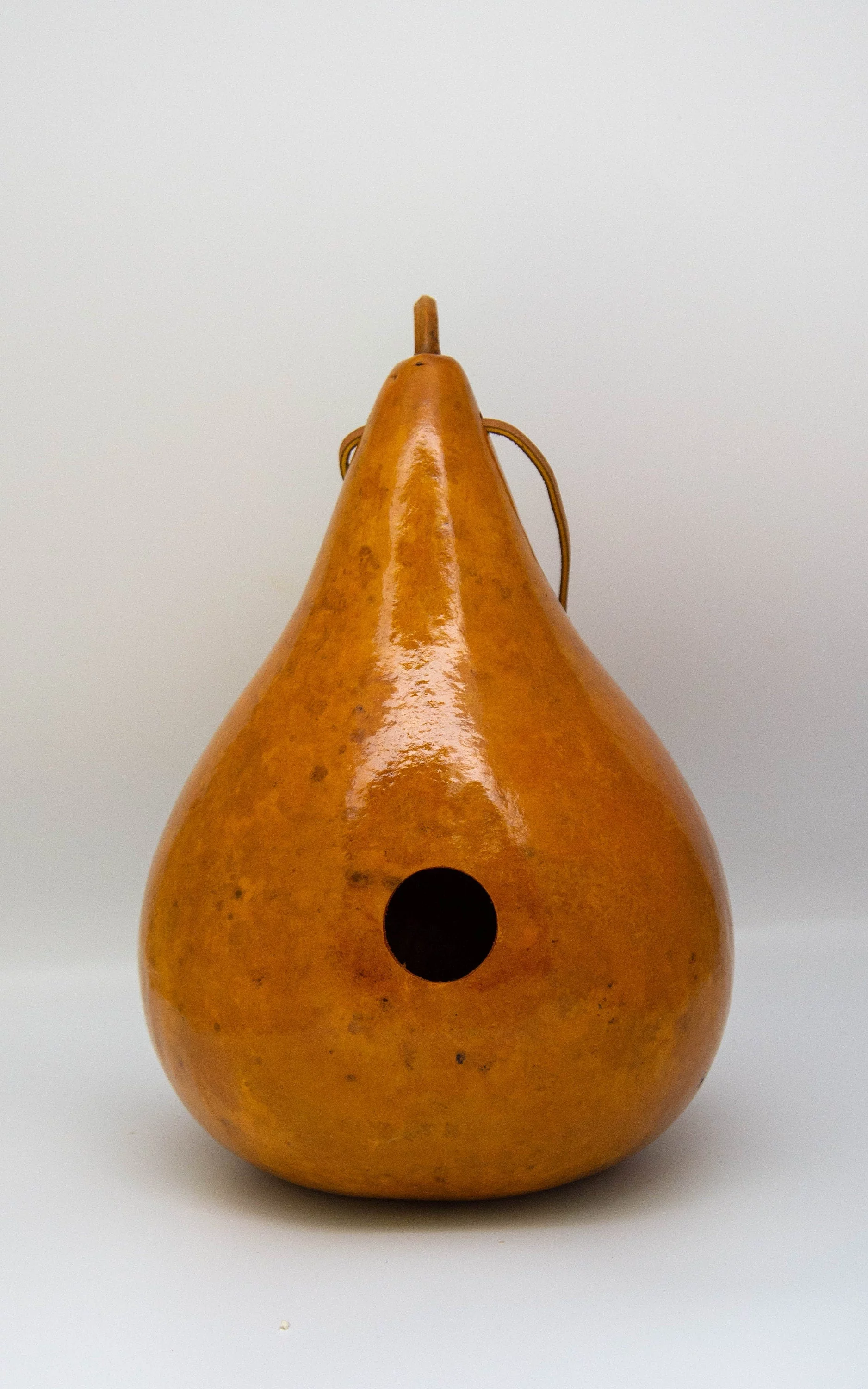 Gourd Birdhouses - Painted Gourd Art - Red - Yellow - Spring Green - Set of 3