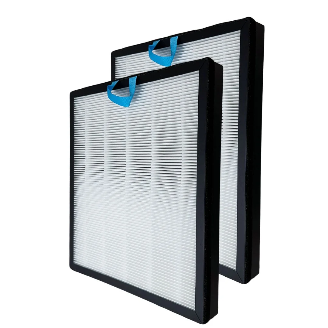 Nispira Vital 100S 2-In-1 True HEPA Filter Replacement Compatible with Levoit Air Purifier Part Vital 100S-RF | Pack of 2