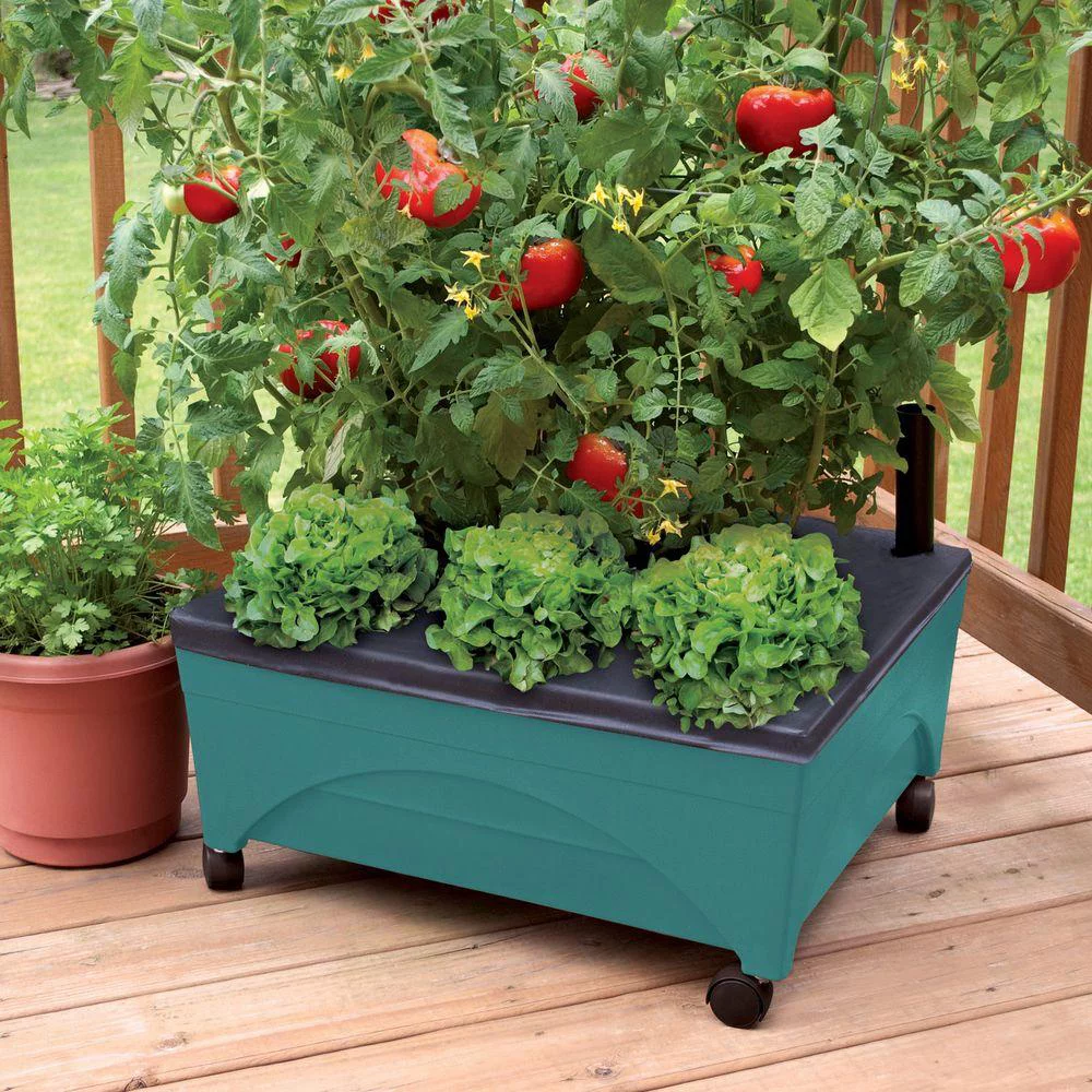 Emsco Group 2360 Little Pickers Child's Garden Grow Box Teal