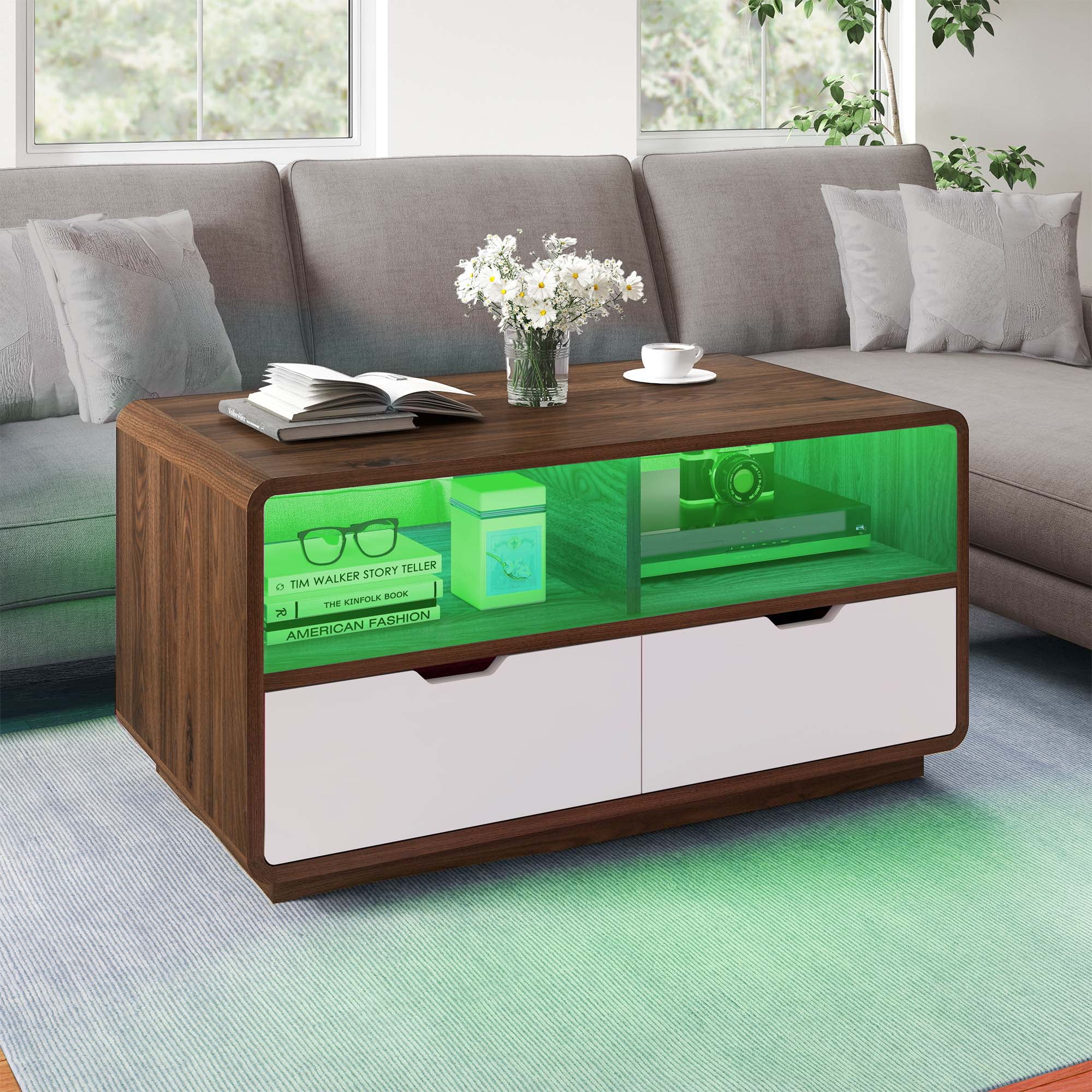 Dextrus LED Coffee Table with Storage Drawers, Modern Living Room Table, White and Walnut