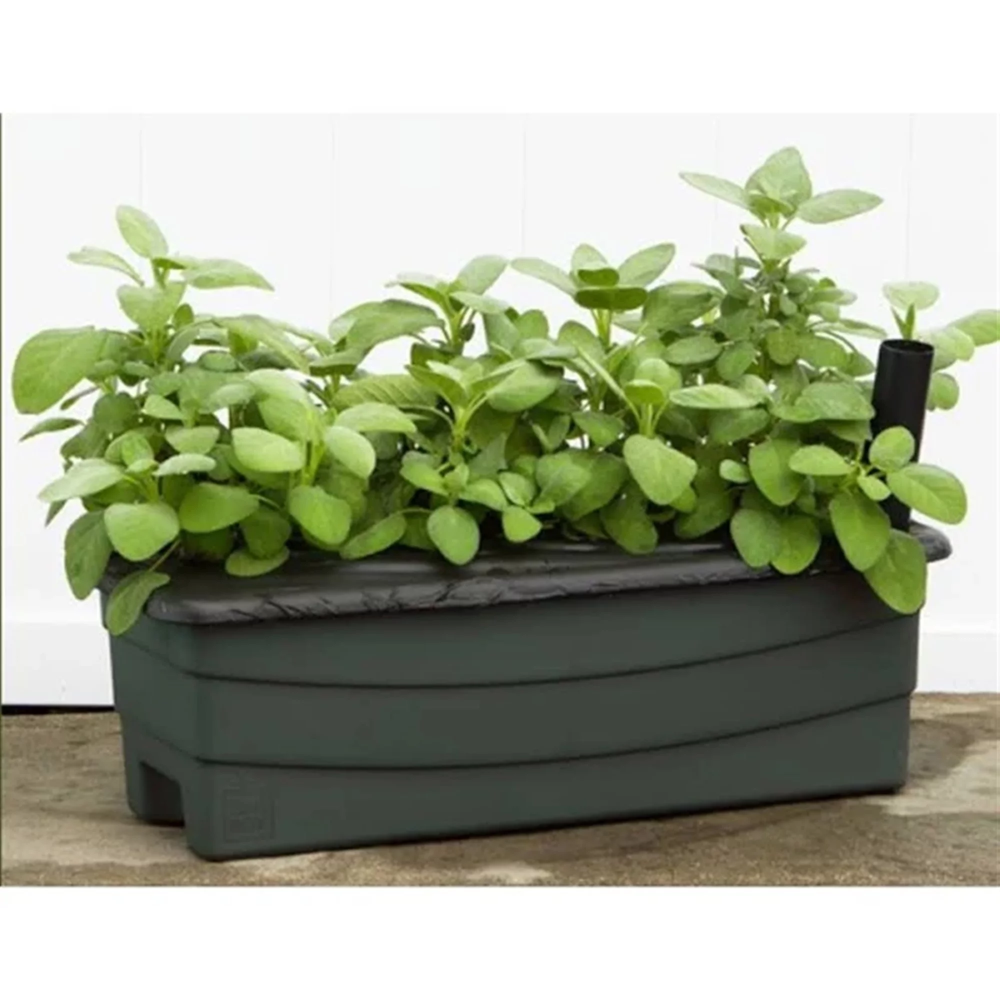 Novelty (#80651) EarthBox Junior Garden Kit, Organic, Green