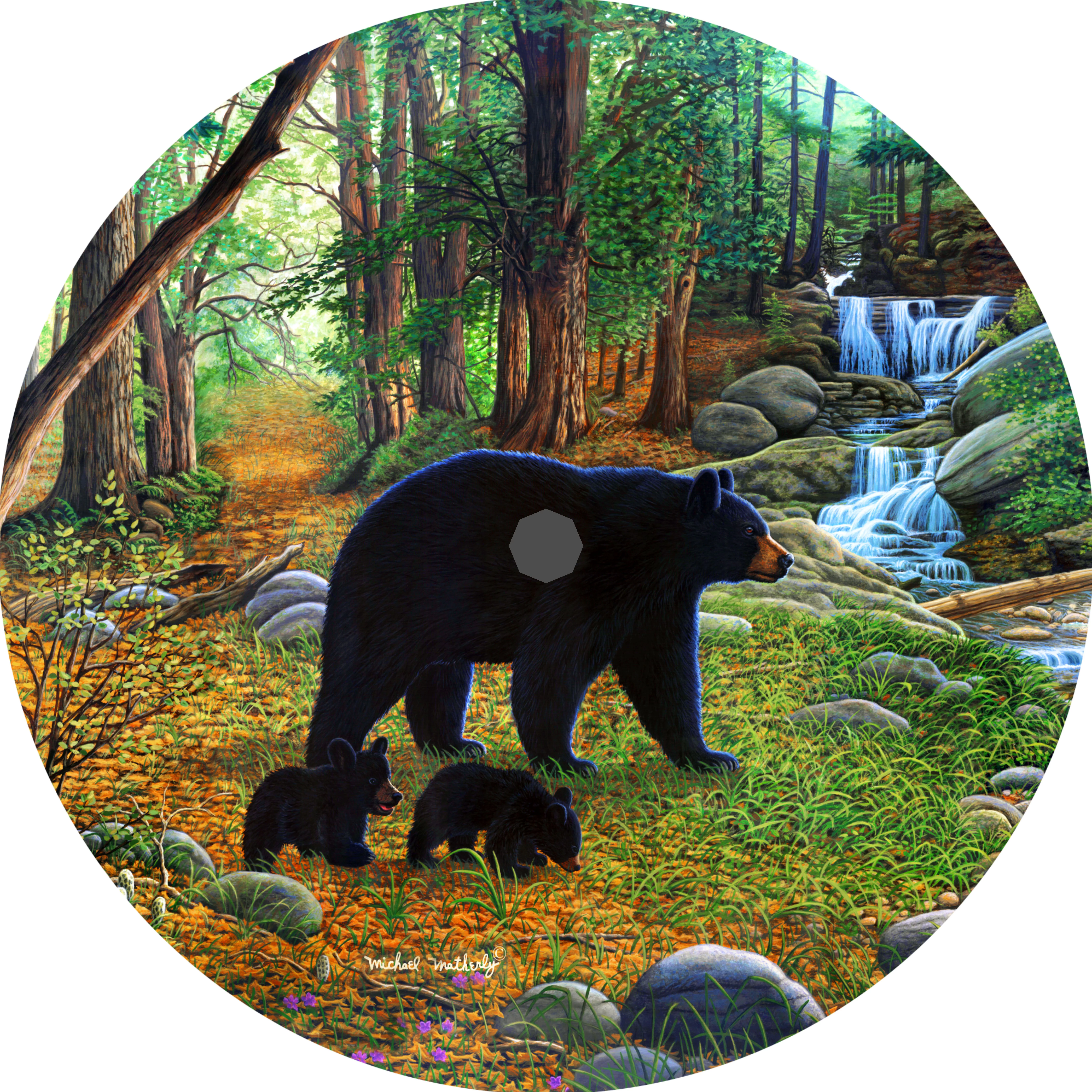 Tire Cover Central Bear & Cubs Black Vinyl (Select Size/Camera in Menu) 245/75r17