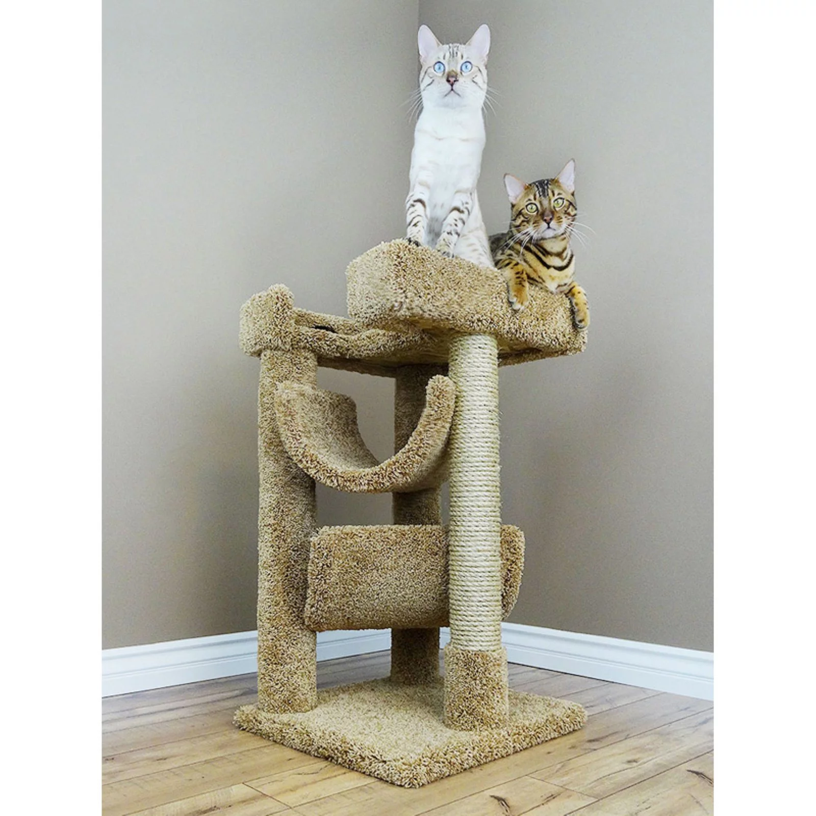 New Cat Condos 33 in. Cat Scratch and Lounge