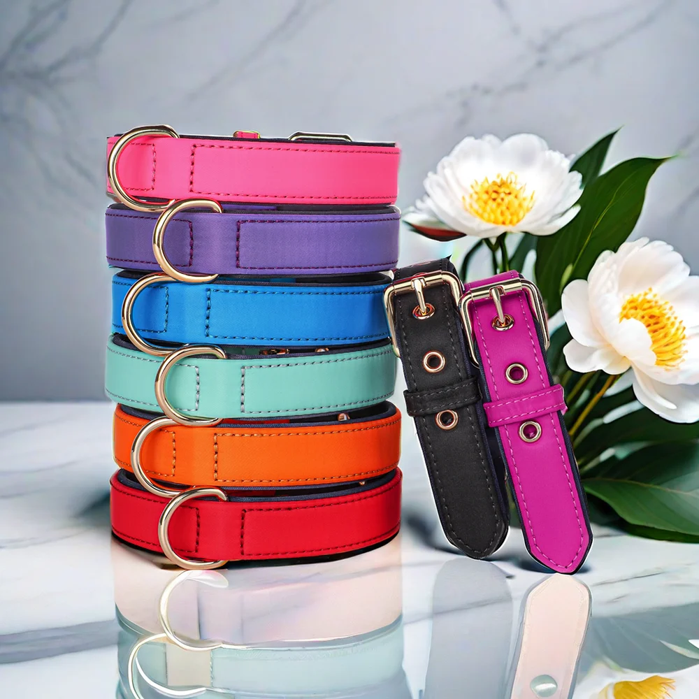 Didog Waterproof Nylon Dog Collar Soft Padded Adjustable Metal Buckle with D-Ring S-L