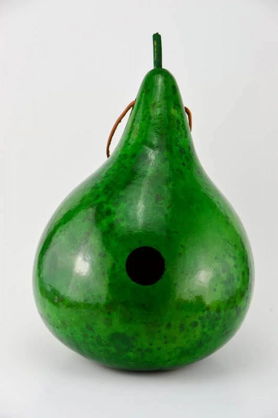 Birdhouse Gourd -  Green - Handmade