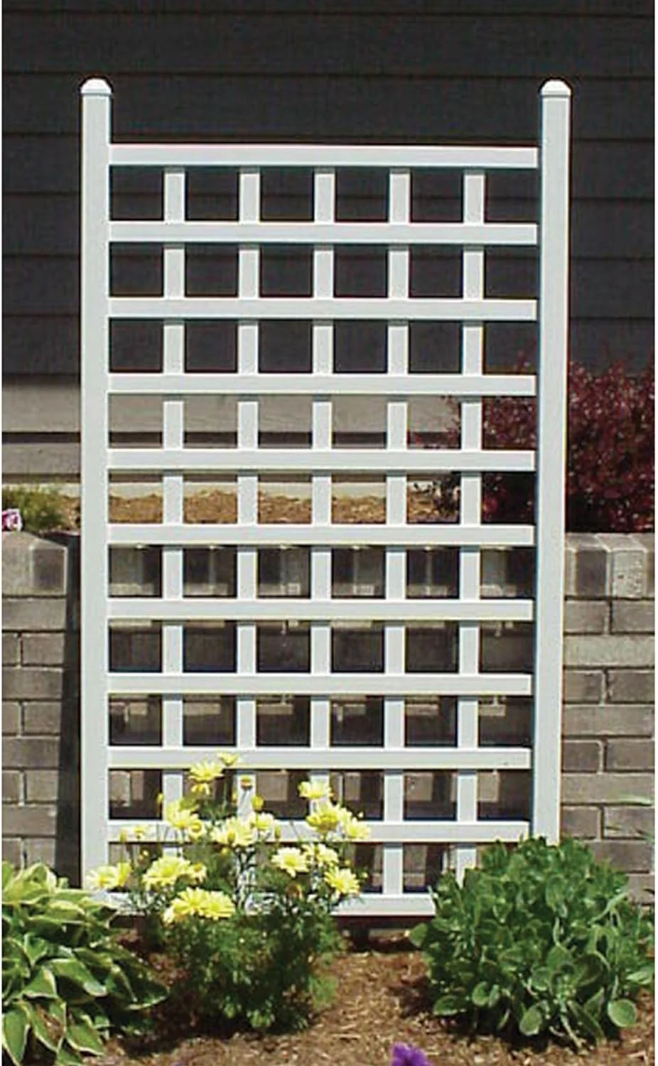 Dura-Trel Country Garden 35 by 66 Inch Indoor Outdoor Garden Trellis Plant Support for Vines and Climbing Plants, Flowers, and Vegetables, White