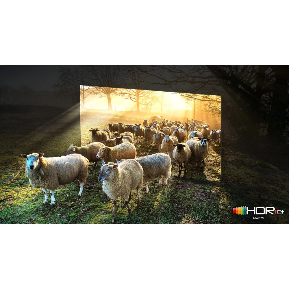 Open Box Samsung 65-Inch Class Neo QLED 8K QN900B Series Mini LED Quantum HDR 48x, Infinity Screen, Dolby Atmos, Object Tracking Sound Pro, Smart TV with Alexa Built-In (QN65QN900BFXZA, 2022)