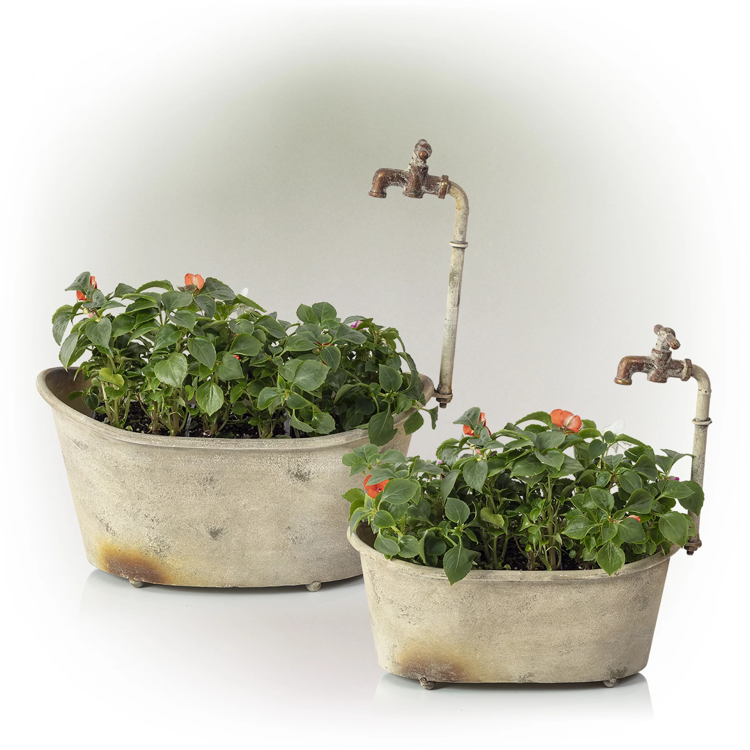 Alpine Corporation 17