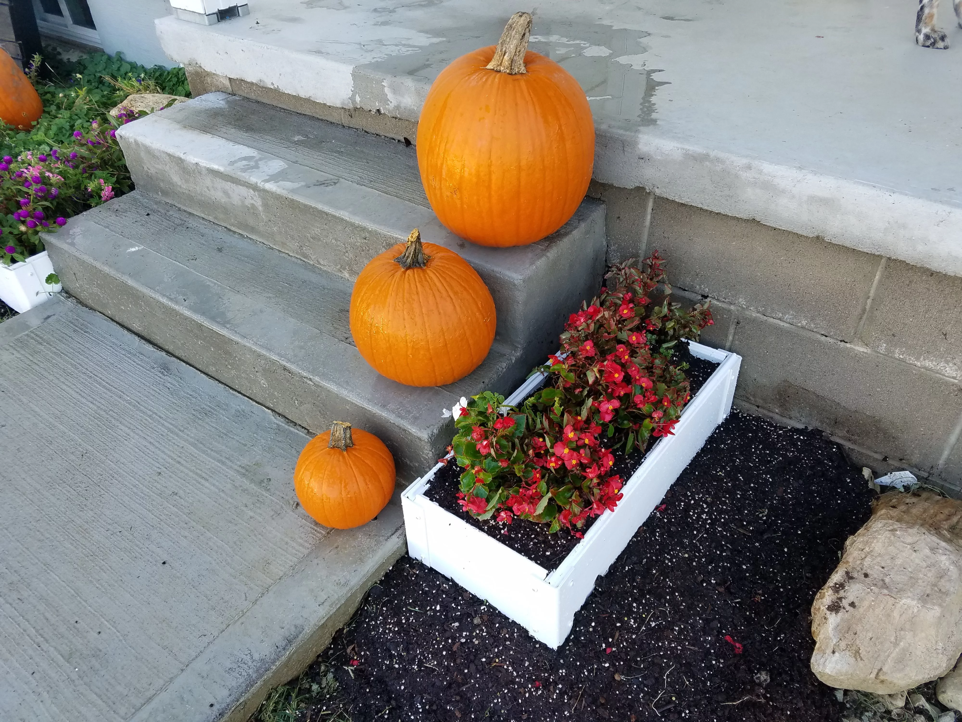 Handy Bed  1 x 2 ft. 6 in. Handy Raised Garden Bed Kit